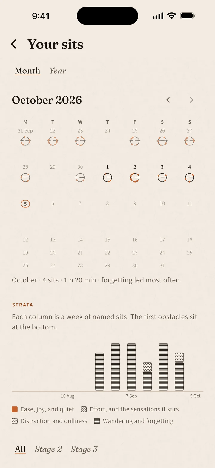 The Your sits screen in Noticed: a month calendar with each day sat marked, a summary line, and weekly strata of which obstacles led.